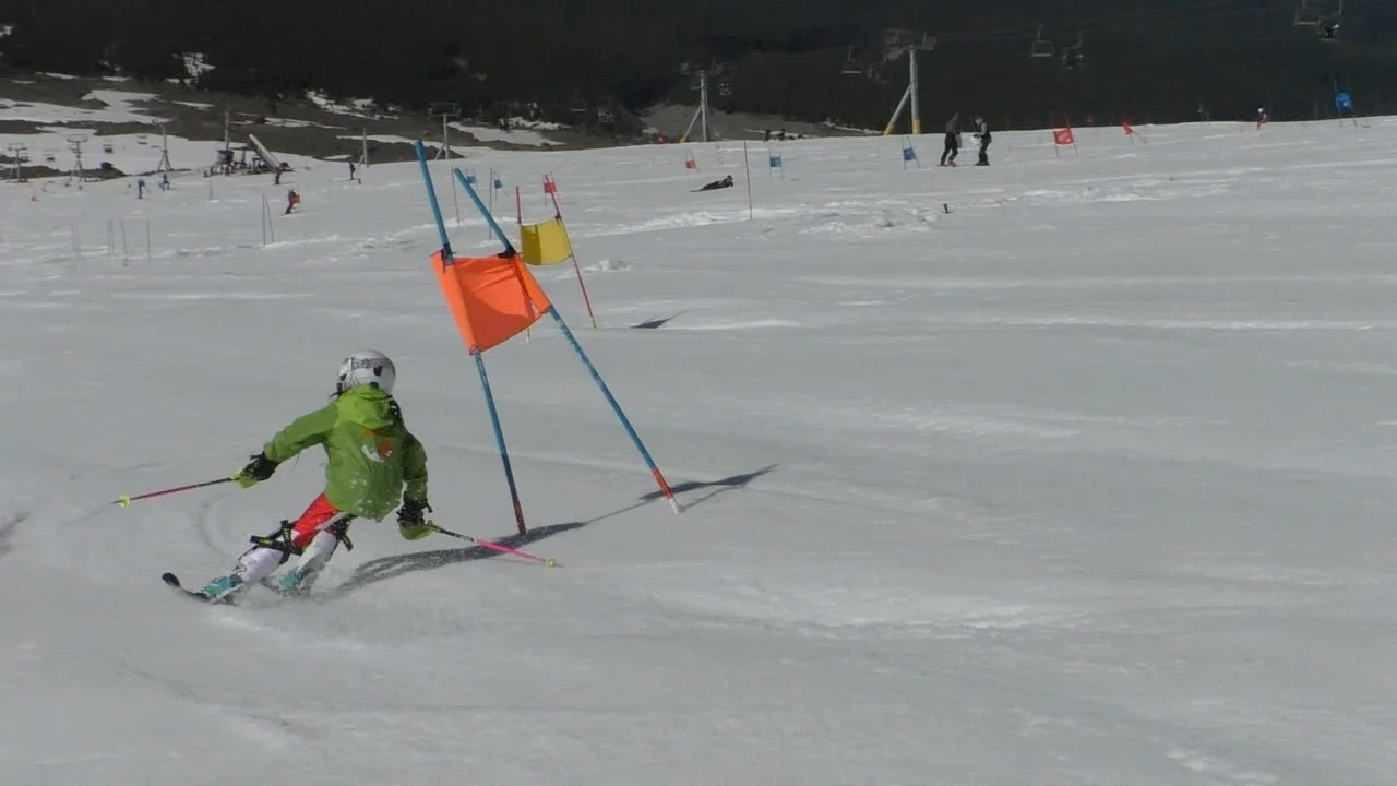 A skier carving through a paneled training gate.